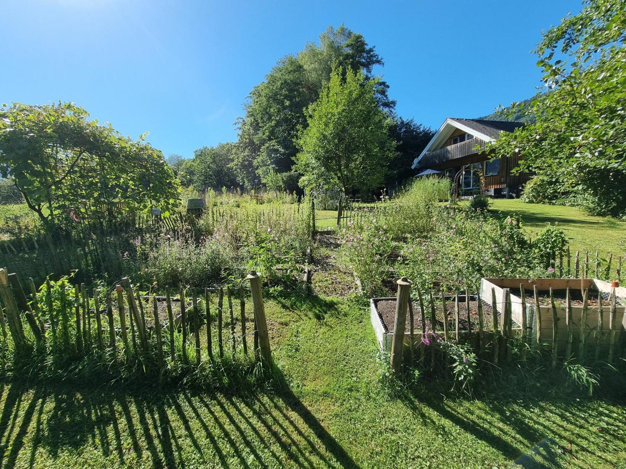 Attersee - Sauna, Kamin, Seeblick Unterach am Attersee