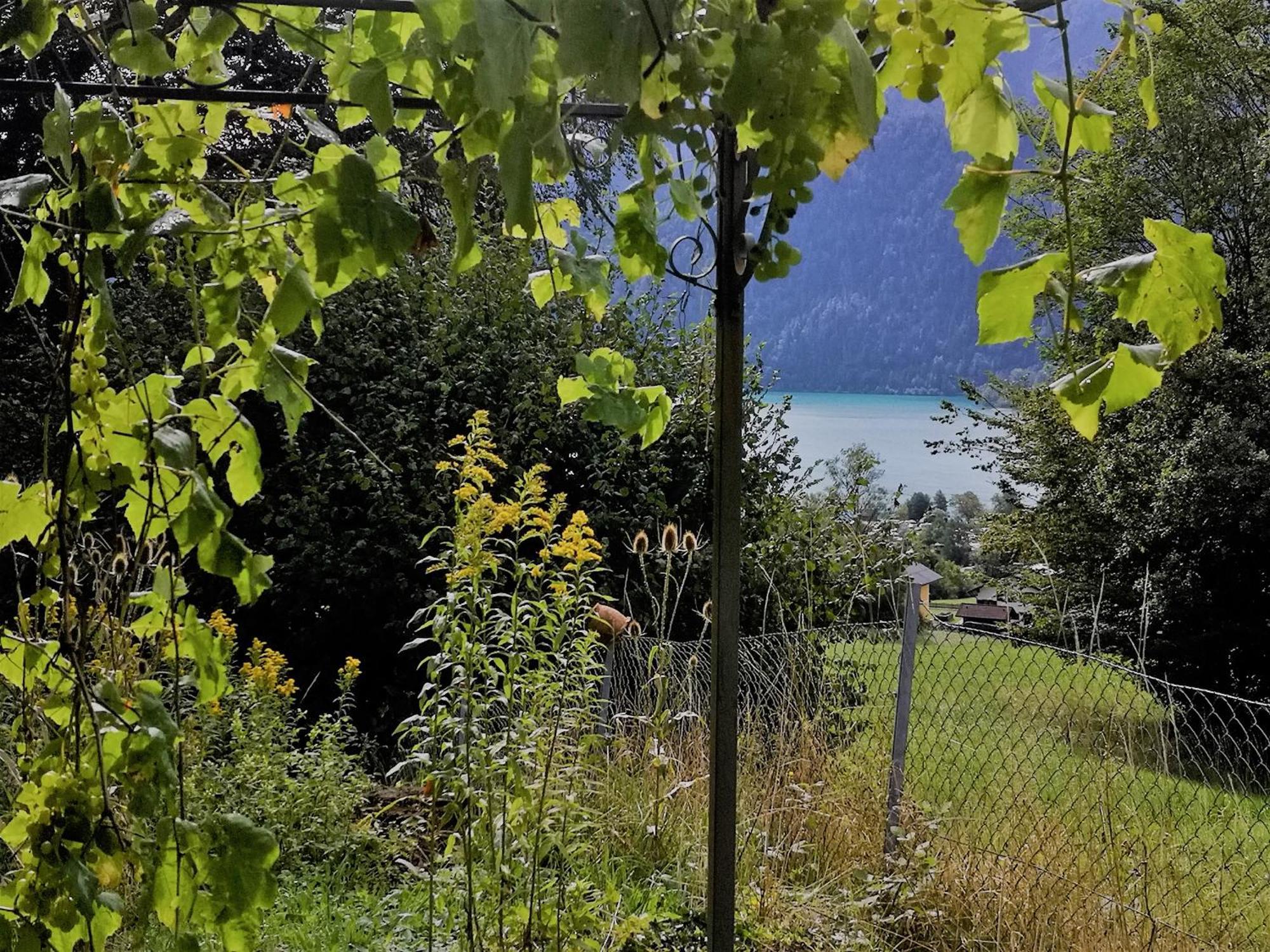Attersee - Sauna, Kamin, Seeblick * Unterach am Attersee