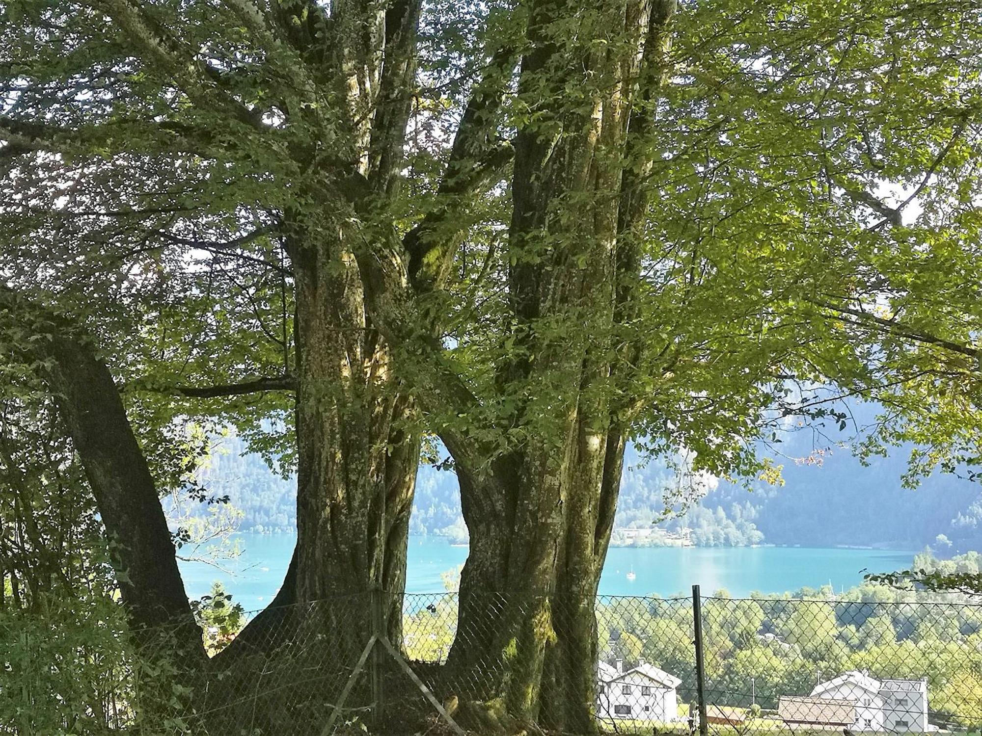 Attersee - Sauna, Kamin, Seeblick Holiday home Unterach am Attersee