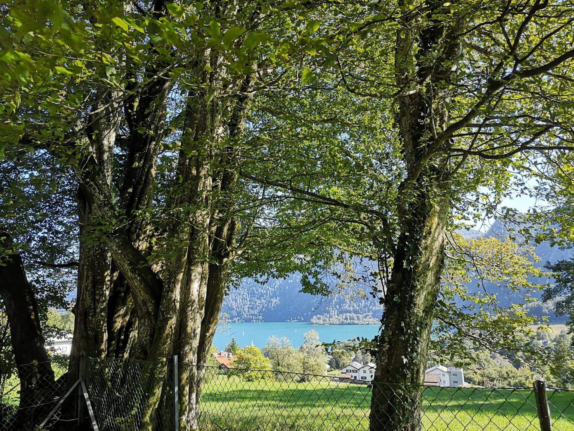Attersee - Sauna, Kamin, Seeblick Holiday home *