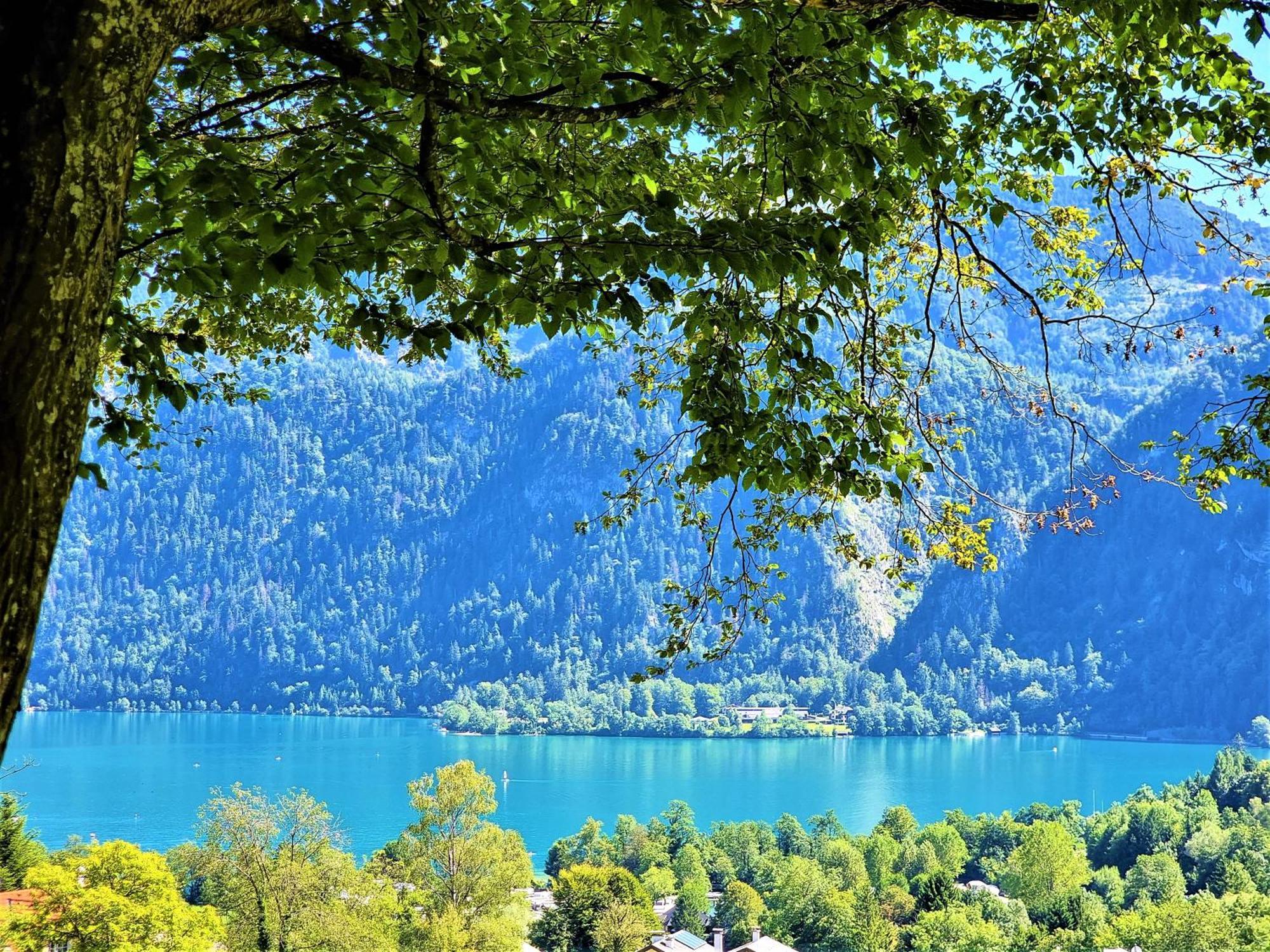 Attersee - Sauna, Kamin, Seeblick