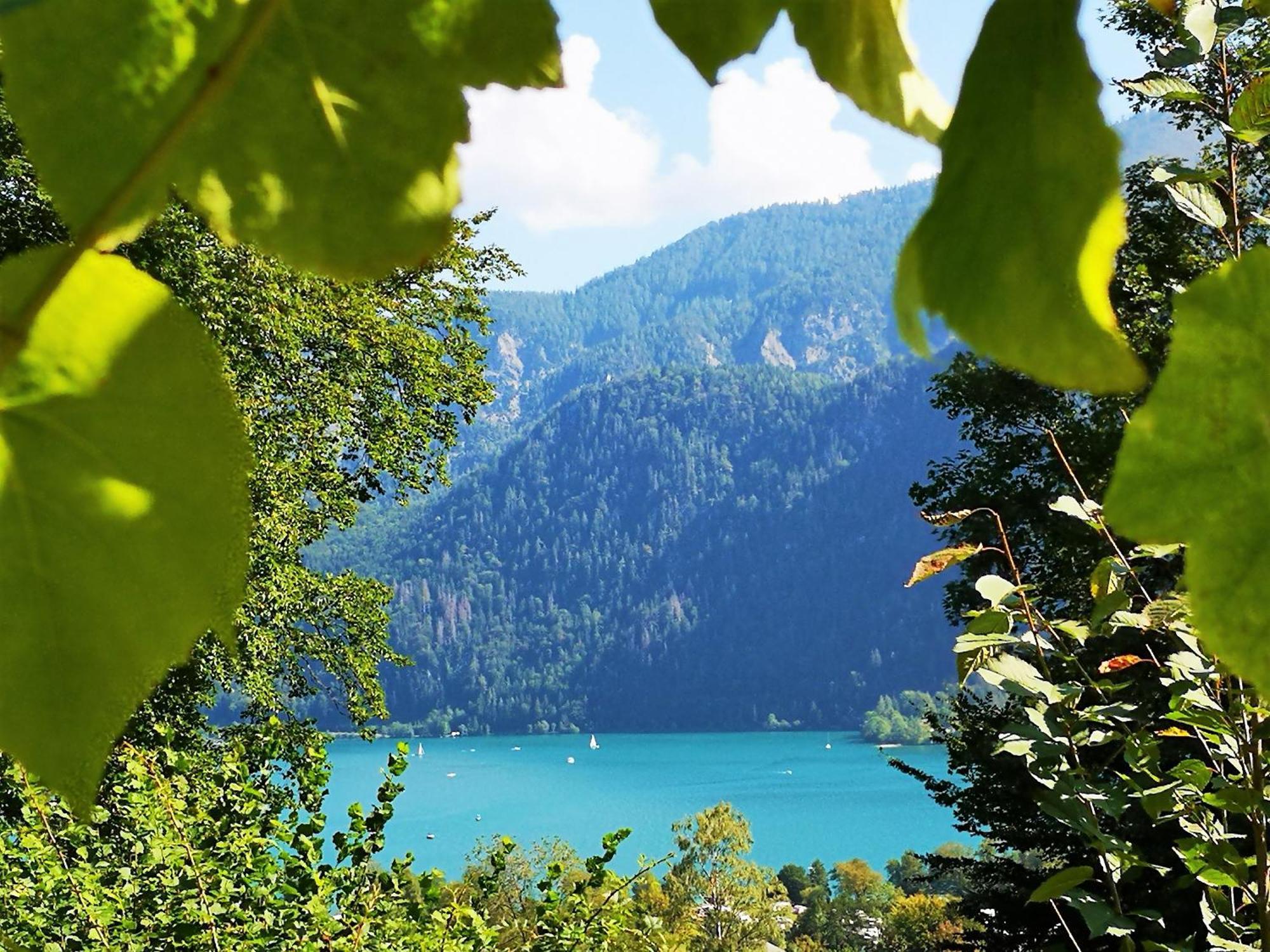 Attersee - Sauna, Kamin, Seeblick Unterach am Attersee