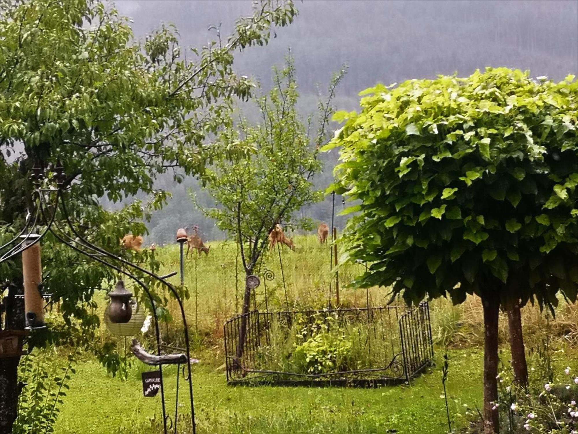 Attersee - Sauna, Kamin, Seeblick Holiday home
