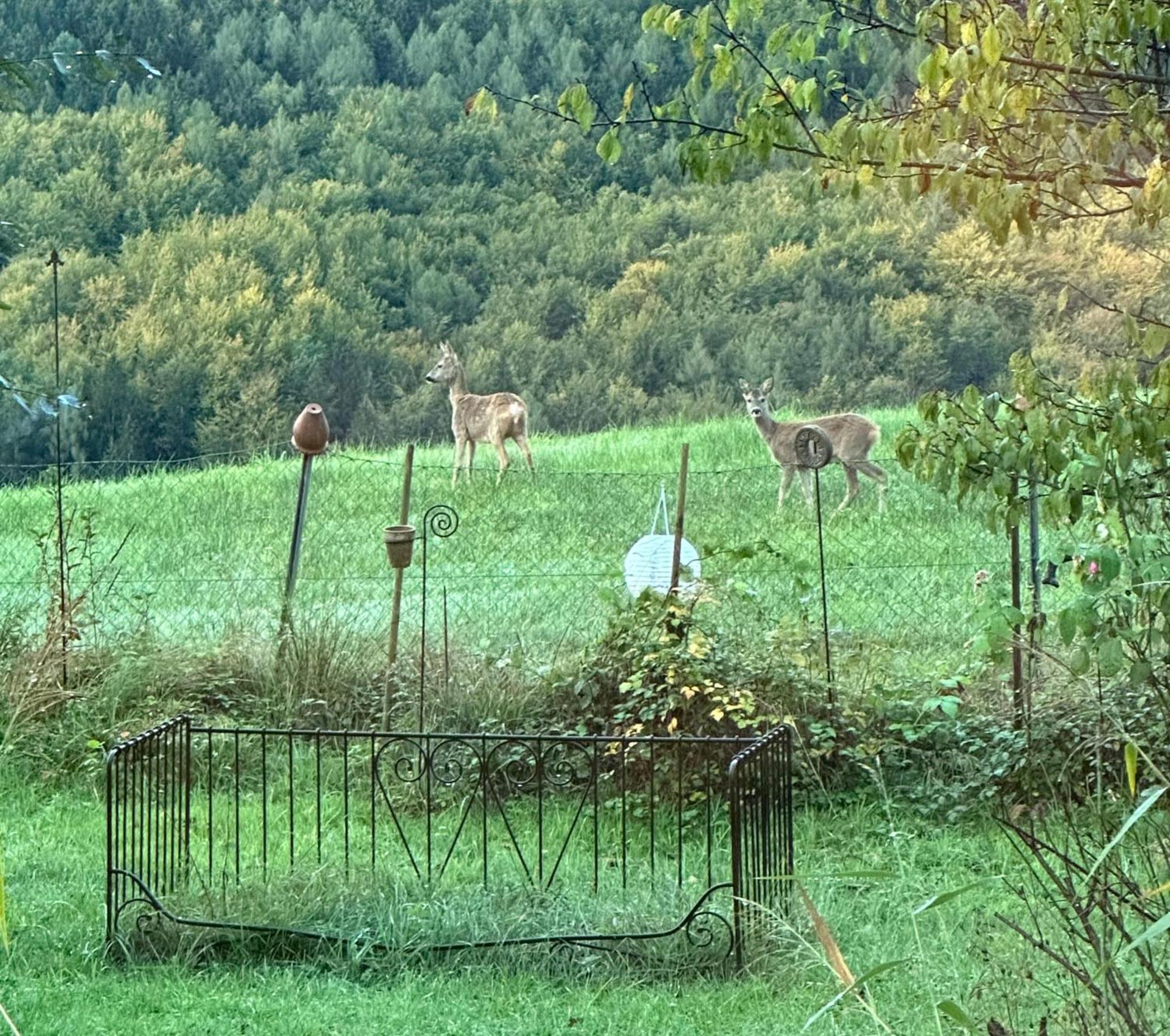Attersee - Sauna, Kamin, Seeblick Unterach am Attersee